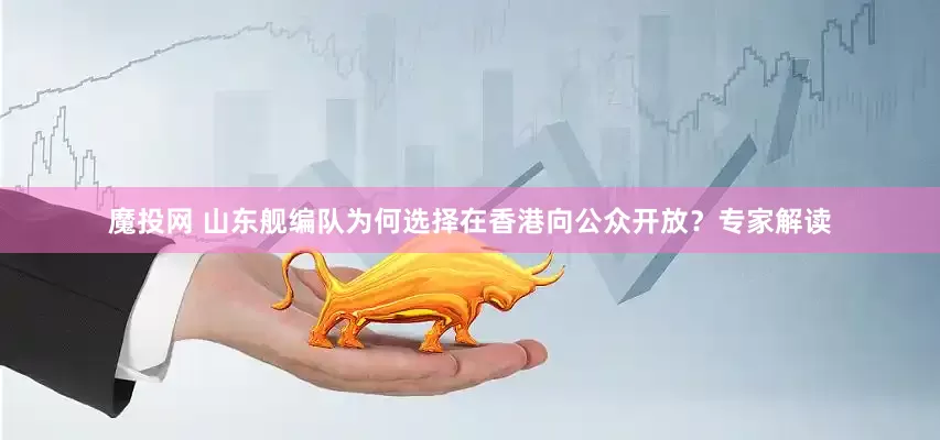 魔投网 山东舰编队为何选择在香港向公众开放？专家解读