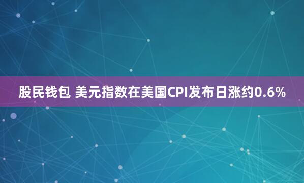 股民钱包 美元指数在美国CPI发布日涨约0.6%