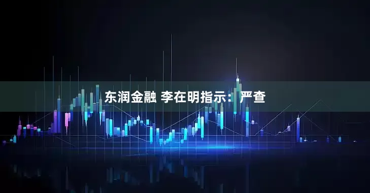 东润金融 李在明指示：严查