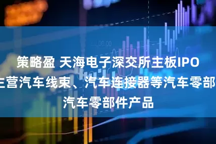 策略盈 天海电子深交所主板IPO过会 主营汽车线束、汽车连接器等汽车零部件产品